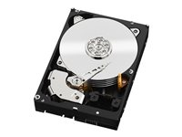 WD RE WD1003FBYZ - Hårddisk - 1 TB - inbyggd - 3.5" - SATA 6Gb/s - 7200 rpm - buffert: 64 MB WD1003FBYZ