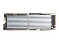 HP - SSD - Value - 512 GB - inbyggd - M.2 2280 - PCIe 4.0 x4 - för Workstation Z2 G9 (mini) 4N008AA