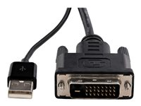 StarTech.com DVI till DisplayPort-adapter med USB-ström - 1920 x 1200 - Videokort - dubbel länk - DVI-D (hane) till DisplayPort (hona) - USB-ström DVI2DP2