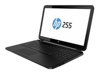 HP 255 G2 Notebook - 15.6" - AMD A4 - 5000 - AMD VISION - 4 GB RAM - 500 GB HDD F0Z52EA#UUW