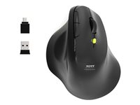 MOUSE ERGONOMIC RECHARGEABLE BT + RF 2,4 GHZ - ERGO SOFT 910200